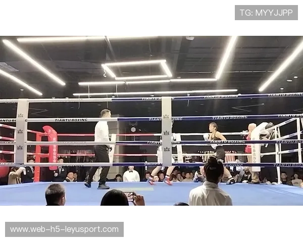 国际拳击联盟选手国际赛事出场资格审查机制完善，国际拳击组织ibo